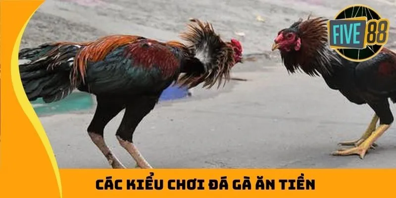 Tổng hợp các hình thức chơi đá gà ăn tiền hấp dẫn
