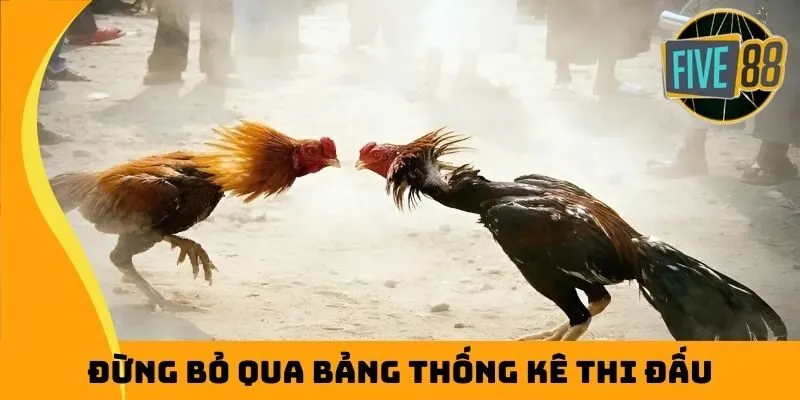 Đừng bỏ qua bảng thống kê thi đấu