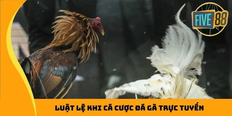 Luật lệ khi cá cược đá gà trực tuyến