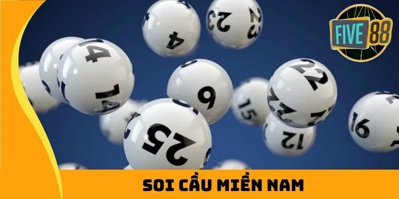 Soi Cầu Miền Nam