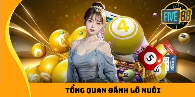 Tổng quan đánh lô nuôi