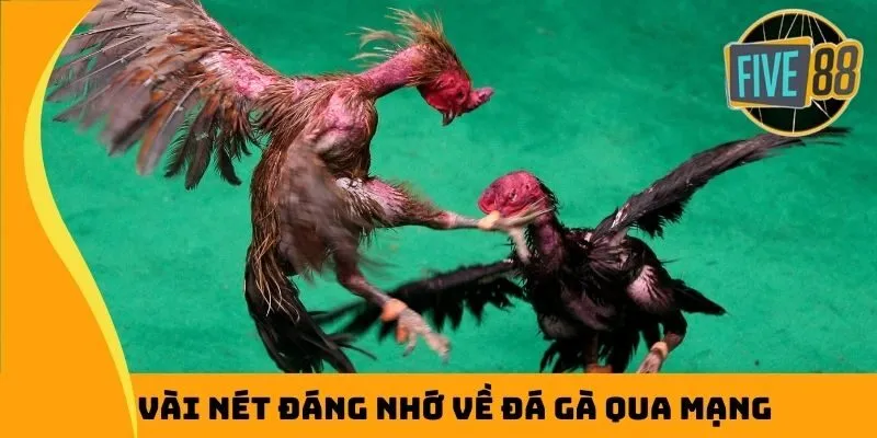 Vài nét đáng nhớ về đá gà qua mạng