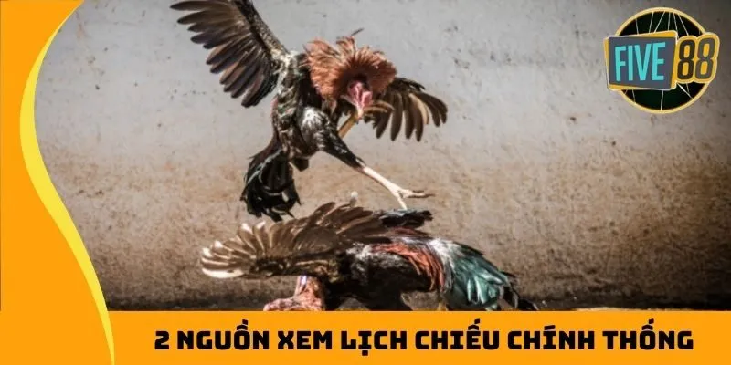 2 nguồn xem lịch chiếu chính thống